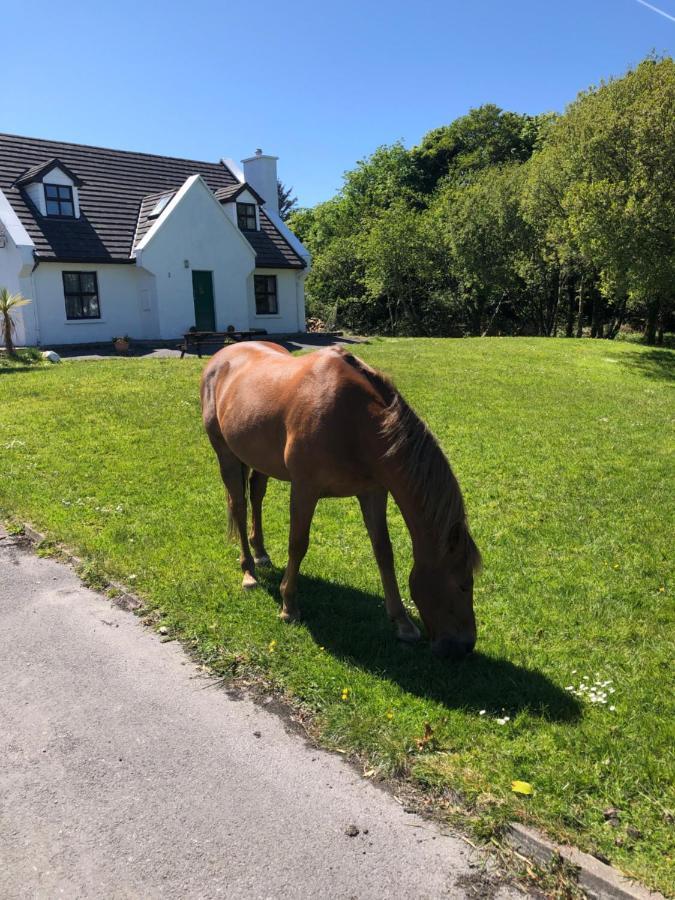 House With Sea Views Close To Beach With Wifi And Large Kitchen And Dining Ardnagreevagh Exteriör bild